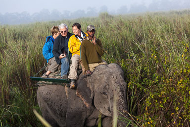 Assam - November 2012
