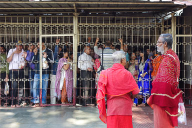 Assam - November 2012