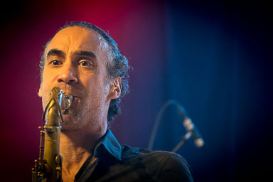 Festival De Luie Hond 2016