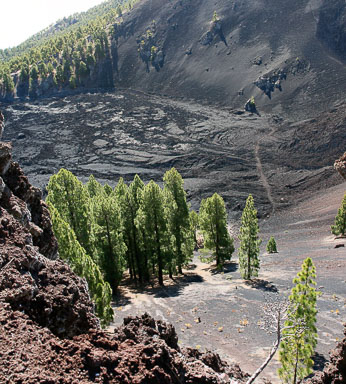 La Palma 2007