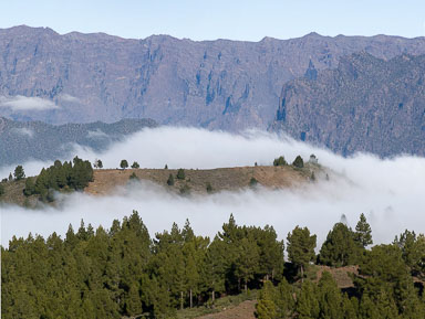 La Palma 2007