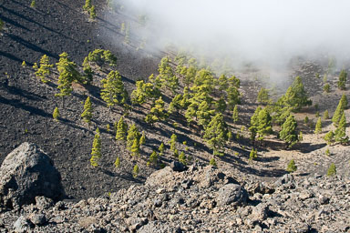 La Palma 2007