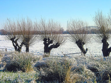 Nederlands Landschap