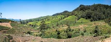 Sri Lanka  -  2015