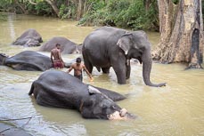 Sri Lanka  -  2015