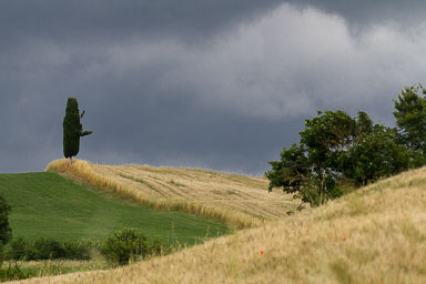 Toscane - Italie - 2010