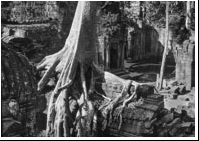 Ankor Wat, Cambodja