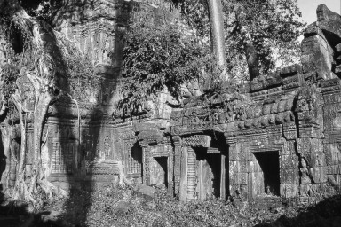 Ankor Wat, Cambodja