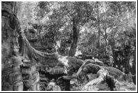 Ankor Wat, Cambodja