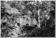 Ankor Wat, Cambodja