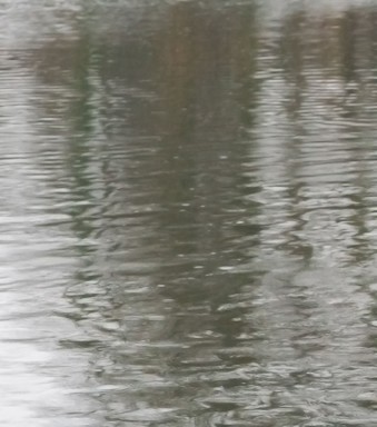 Braamberg 2007