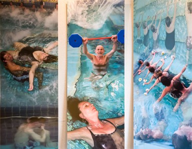 Jubileum Gelderse Roos